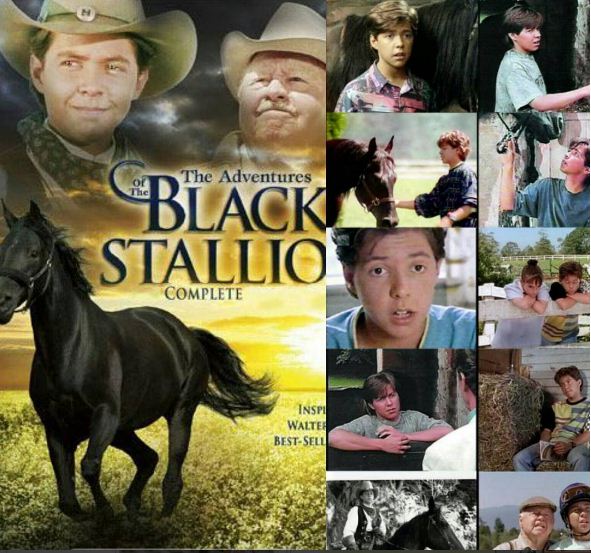 «مشکی» و اسب های فائزه هاشمی