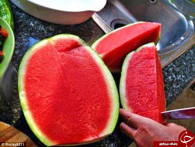 میوه‌های عجیب الخلقه در سراسر جهان+ تصاویر