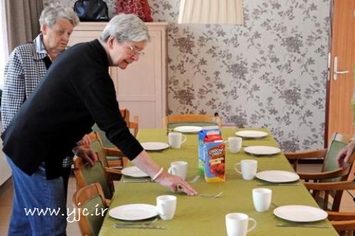 روستای دیوانگان هلندی +عکس