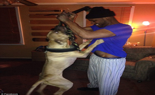 حمله مرگبار سگ وحشی به دختر 9 ساله+ تصاویر