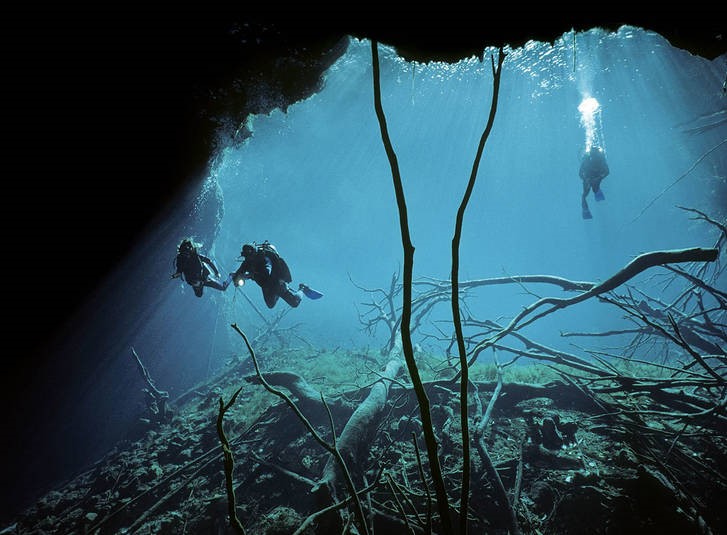 پایگاه تحلیلی خبری نامه نیوز