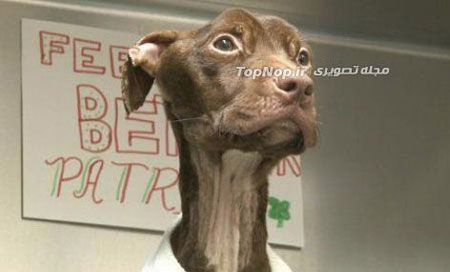 نجات از مرگ حتمی