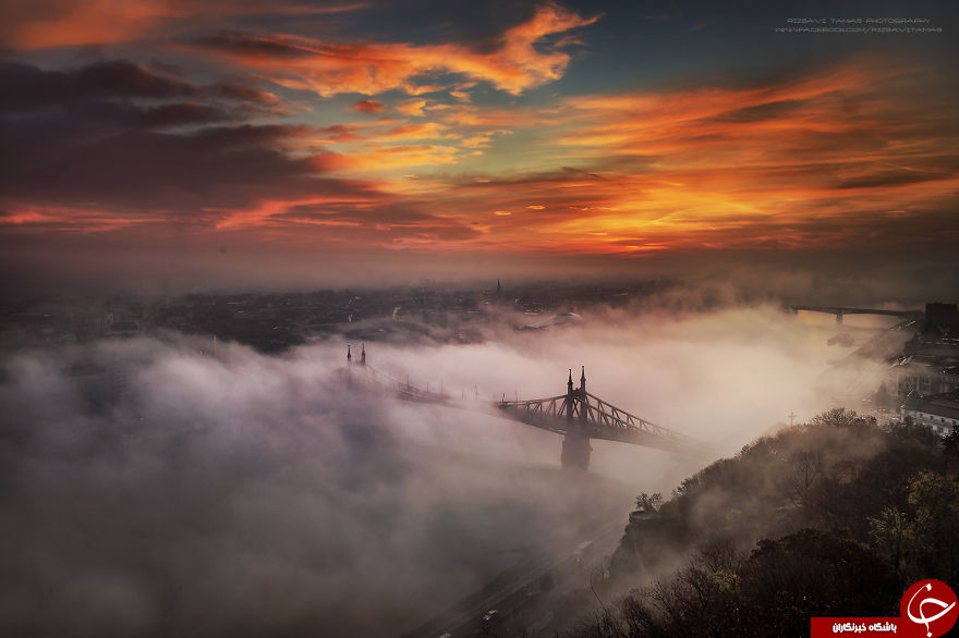 عکاسی که برای ثبت این تصاویر جانش را به خطر انداخت + تصاویر