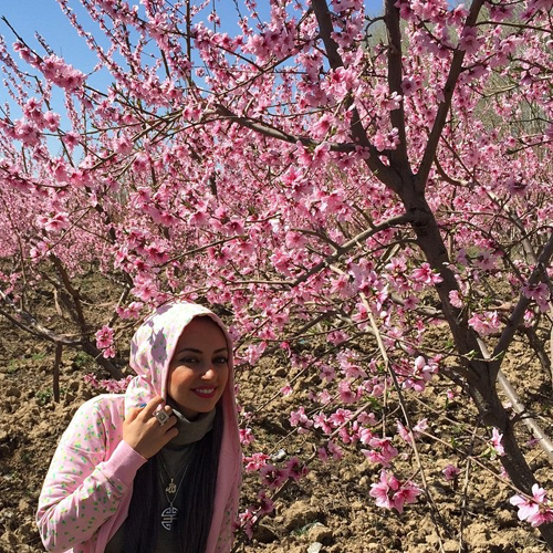 تصویر دیدنی از نفیسه روشن در روز سیزدهم فروردین امسال