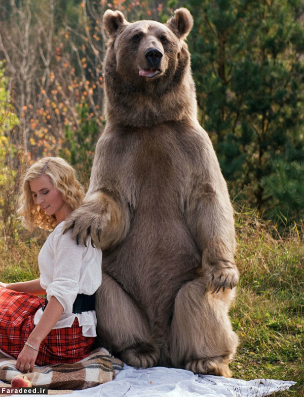 تصاویر/ پیک‌نیک‌ مادر، دختر و خرس غول‌پیکر