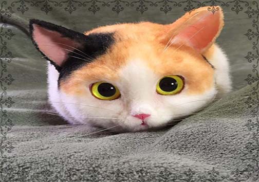 جدیدترین و عجیب‌ترین مد در ژاپن + تصاویر