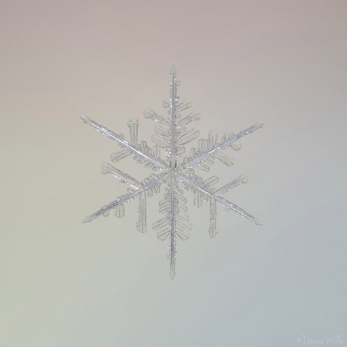 عکس ماکرو از دانه‌ی برف