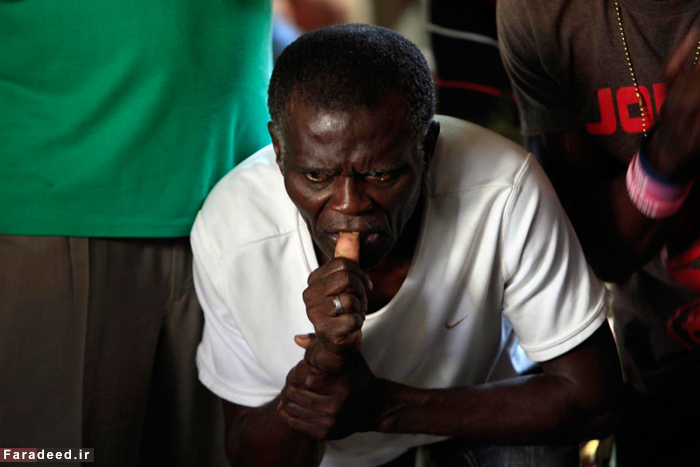 (تصاویر) سنت جنگ خروس‌های جنگی