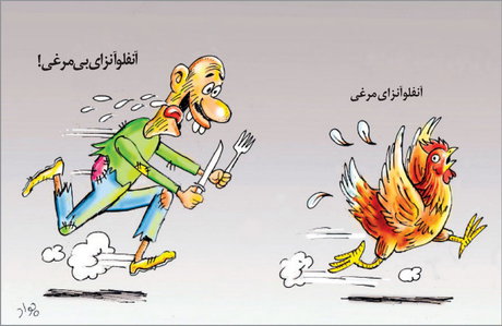 کاریکاتور / آنفلوآنزای مرغی و درد بی‌مرغی!