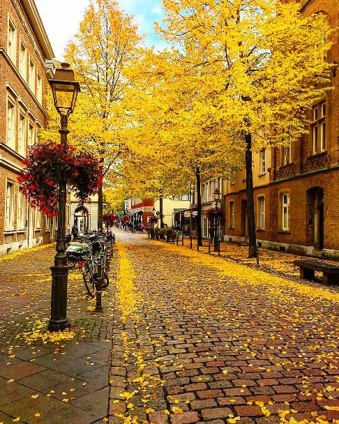 پاییز در آلمان