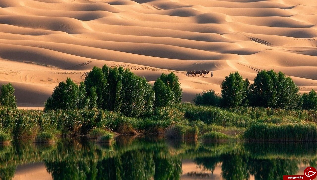 گوشه ای از بهشت در دل جهنم+عکس