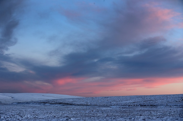 تصاویر/ یک روز برفی در انگلیس