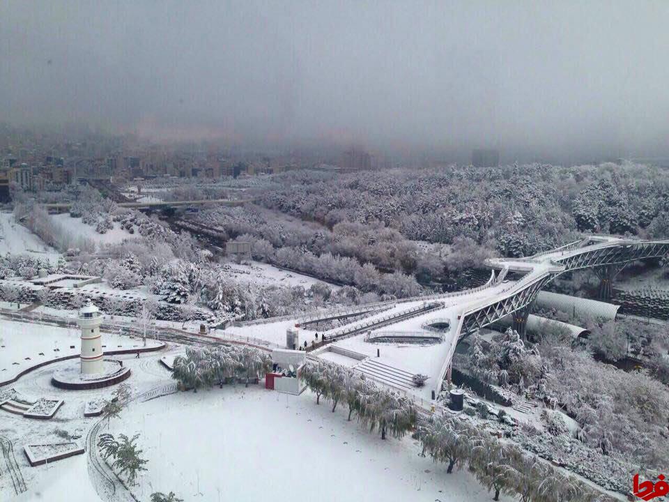 دیدن این عکس زیبا را از دست ندهید!