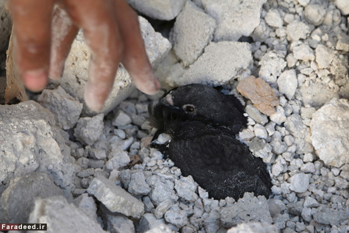 (تصاویر) کودکانی با رنج‌های بزرگ