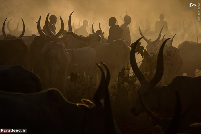 جمهوری آفریقای مرکزی فقیرترین کشور جهان همچنین یکی از کم توسعه ترین کشورها می باشد ، این کشور سالهاست که گرفتار فساد ، فقر و خشونت ‏است. این کشور محصور در خشکی بوده، و از هیچ طرف به دریا راه ندارد. آب و هوای گرمسیری داشته و شمال آن را، بیابان ‏فراگرفته‌است.‏‏‏ متوسط در آمد مردم این کشور سالانه ۶۳۹ دلار می باشد.‏‏‏‏