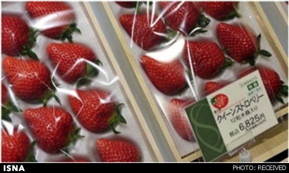 گران‌ترین میوه‌های دنیا در ژاپن + تصاویر