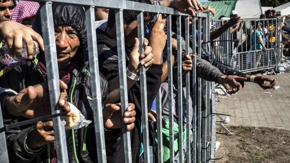 (تصاویر) پناهجویان سوری در قفس