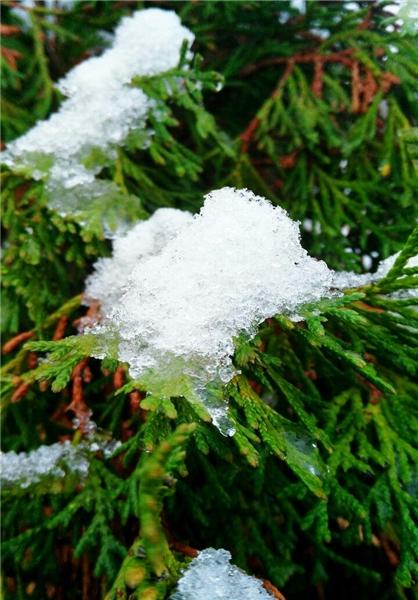 نخستین برف پائیزی در بام ایران/عکس