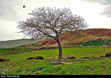 عکس/ طبیعت و میراث بکر شهرستان ریجاب 