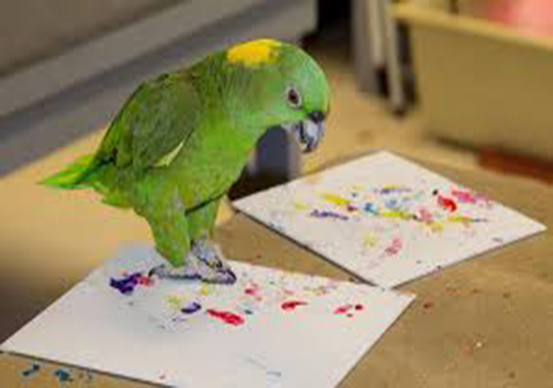 حیوانات یک باغ‌وحش در نیوزیلند کار می‌کنند و هزینه نگهداری خود را تأمین می‌کنند!