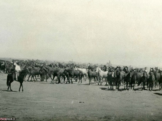 بزرگترین ملک شخصی دنیا به فروش می‌رسد
